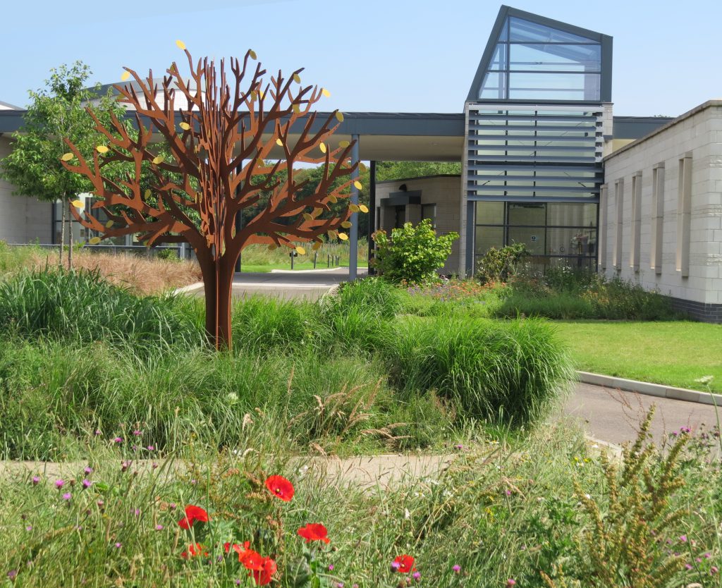 Poppies in front of the Steel Tree