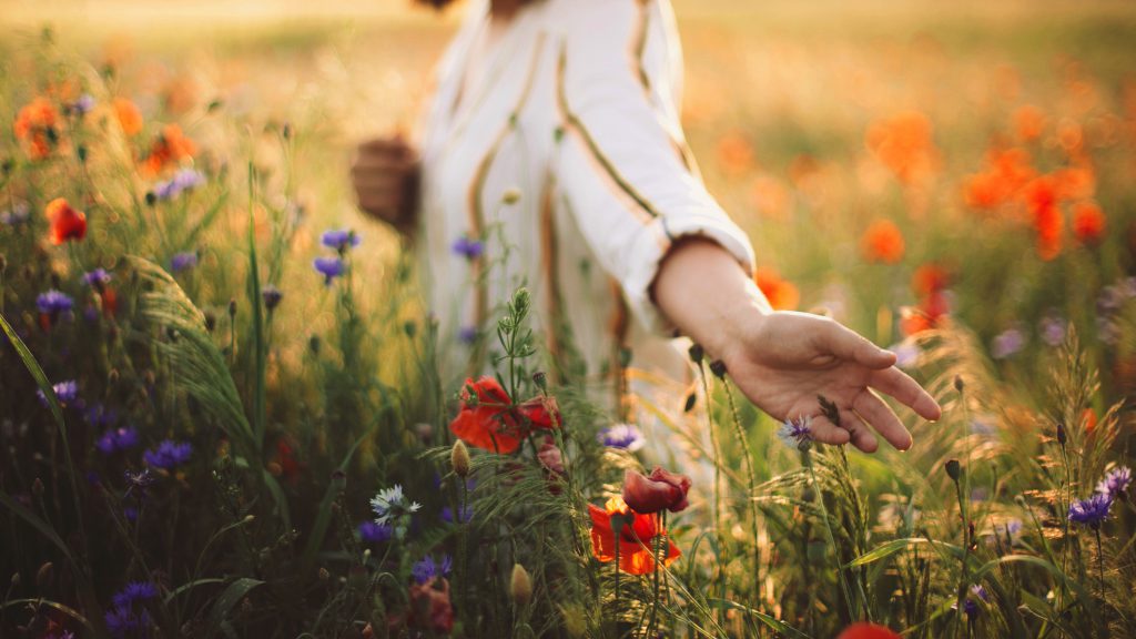 Woman in rustic dress gathering poppies and wildflowers